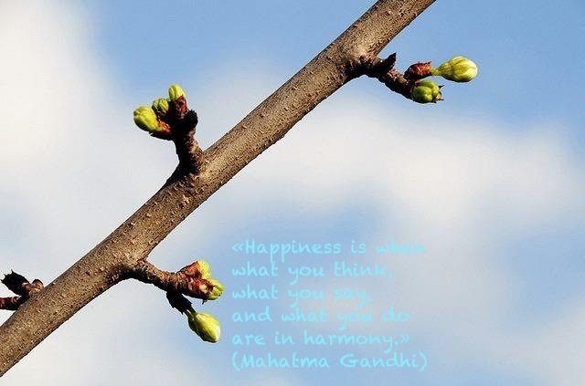 Felicità... Gandhi