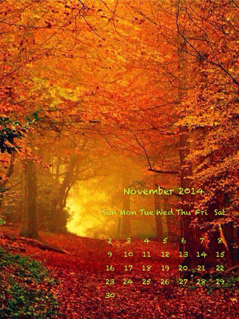 calendario di Novembre